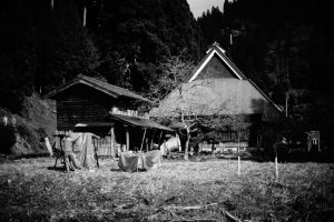 DSC06064